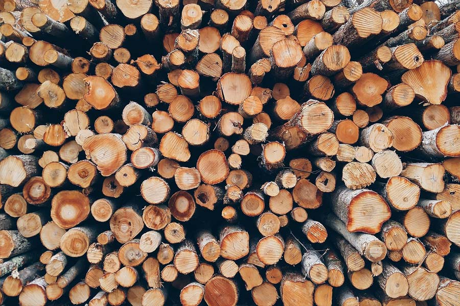 Jawor: Kradł drewno z lasu