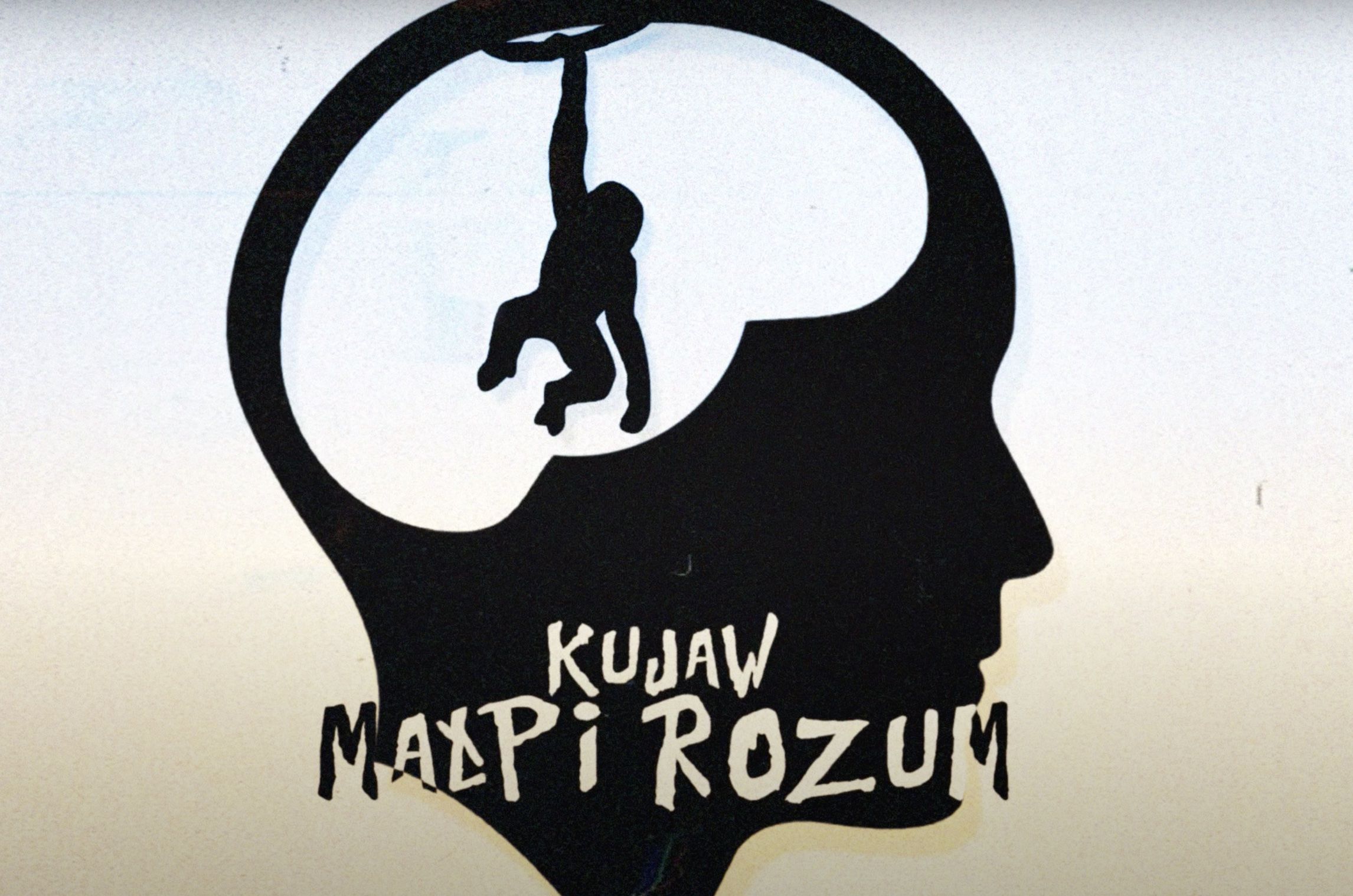 Premiera: Kujaw ''Małpi Rozum''