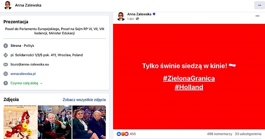 ''Tylko świnie siedzą w kinie'' - lawina komentarzy pod wpisem europosłanki Anny Zalewskiej